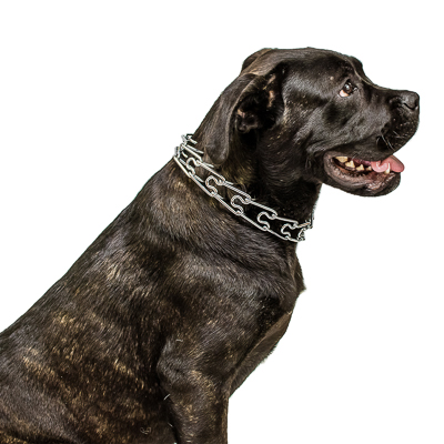 Chrome Plated Pinch Prong Collar with Center-Plate and Assembly Chain (3.2 mm x 23 in) Herm Sprenger
