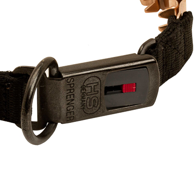 Curogan Neck Tech SPORT Dog Prong Collar with a Click-Lock Buckle (ClicLock)- 19 inches (48 cm) long